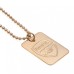 Dog Tag & Chain - Gold Plated